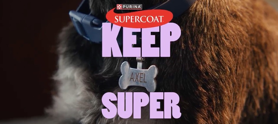 Ogilvy and Purina spotlight real dogs and their owners in new campaign